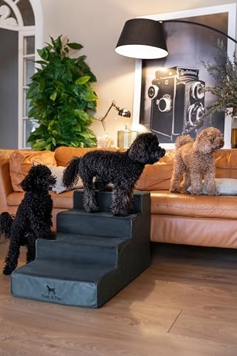 Noah & Paw Dog Steps for Bed, Extra Wide Dog Stairs for Bed - Image 3