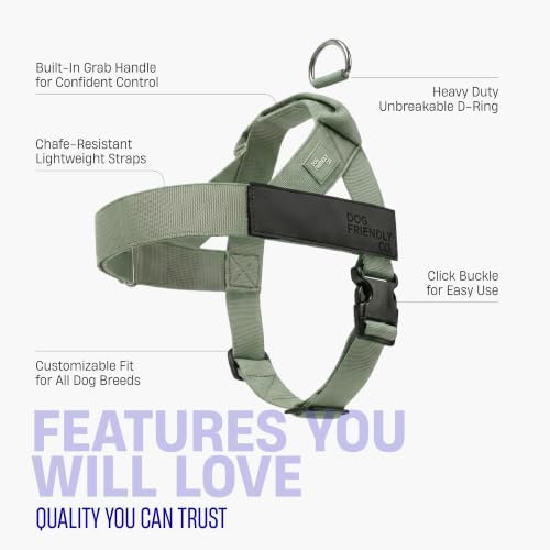 Dog Friendly Co. Dog Harness for Large Dogs, Adjustable - Image 5