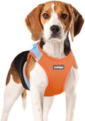 rabbitgoo Step-in Small Dog Harness, Puppy Vest by rabbitgoo