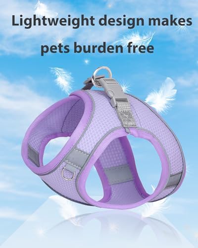 Dog Harness for Small Medium Sized Dog, Step in Puppy Harness and Leash Set - Image 3