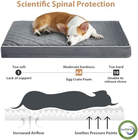 WNPETHOME Orthopedic Waterproof Large Dog Bed - Image 3