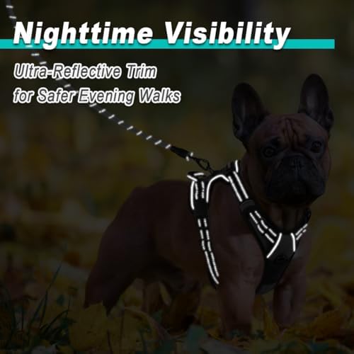 BARKBAY Dog Harness for Small Sized Dog No Pull 2 Leash Clips Dog Vest - Image 5