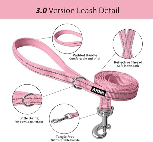 AIITLE Dog Harness and Leash Set, Step-in Puppy Pet Vest, Pure Pink XL - Image 3