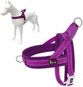 Plutus Pet No Pull Dog Harness for Large Dogs, Breathable Mesh Padded by PLUTUSPET