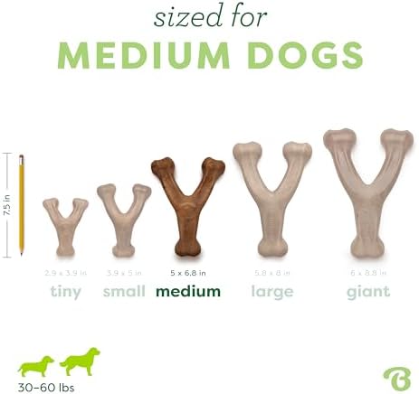Benebone 2-Pack Wishbone Dog Chew Toy, Real Bacon & Chicken - Image 4