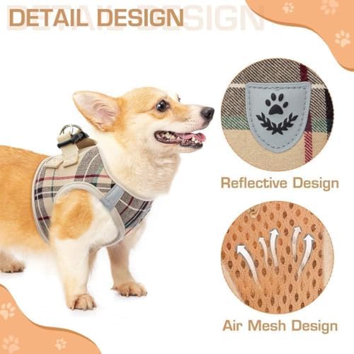 KOOLTAIL Dog Harness for Small Medium Dogs, Dog Harness and Leash Set, Step in - Image 5