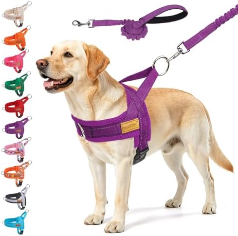 BEAUTYZOO Dog Harness for Large Dogs, No Pull Step in Pet Vest and Leash Set by BEAUTYZOO