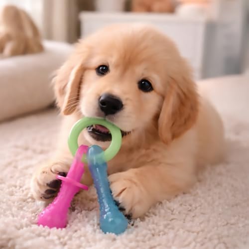 Nylabone Puppy Pacifier Chew Toy, Teething Toys - Image 2