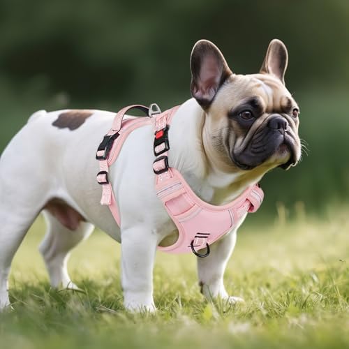 Timos Dog Harness Small Sized, Neck Quick Release - Image 6