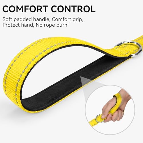Joytale Reflective Dog Leash for Medium & Large Dogs, 5 FT x 1" - Image 3