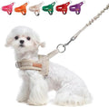 BEAUTYZOO Small Dog Harness and Leash Set, No Pull Step in Puppy Vest by BEAUTYZOO