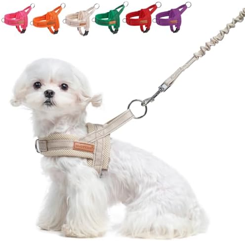 BEAUTYZOO Small Dog Harness and Leash Set, No Pull Step in Puppy Vest by BEAUTYZOO
