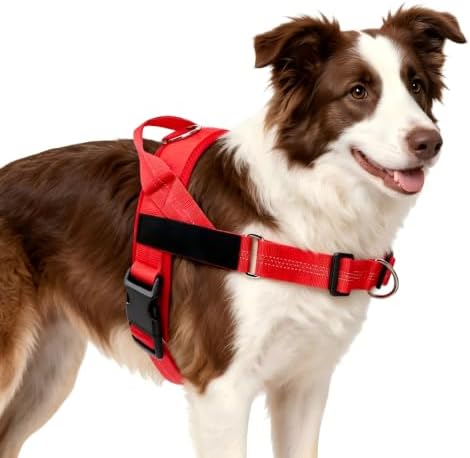Pawly Lab Co No-Pull Harness, 3-Point Adjustable & Reflective（XL） by Unknown