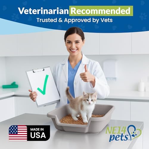 KittyGoHere Senior Cat Litter Box, Small Litter Pan, Small Misty Gray - Image 4