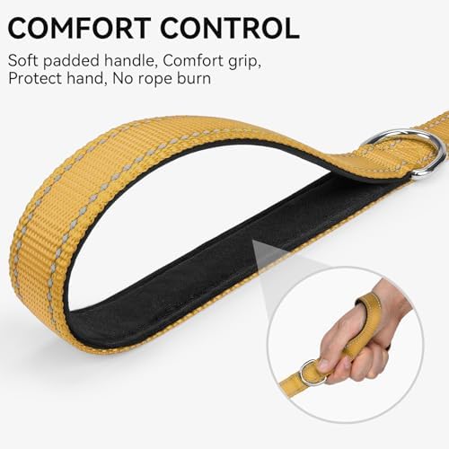 Joytale Reflective Dog Leash for Medium & Large Dogs, 5 FT x 1" - Image 3