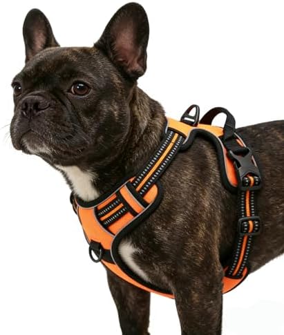 Orange No-Pull Dog Harness - Image 5