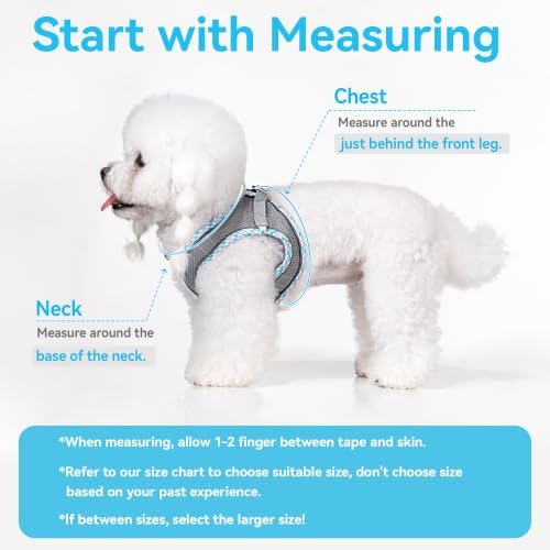 Petank Step in Dog Harness No Pull and Leash - Image 4