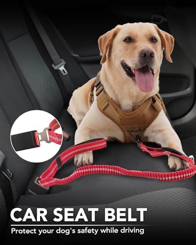 Joytale Tactical Bungee Dog Leash, Shock Absorbing No Pull - Image 5