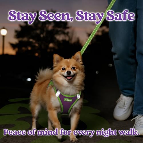 rabbitgoo Dog Harness Small Sized and Leash Set, Step in Soft Vest - Image 4