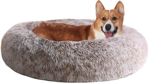 JOLLYVOGUE Dog & Cat Bed, Calming Anti-Anxiety Pet Bed by JOLLYVOGUE