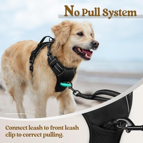 rabbitgoo Dog Harness, No Pull for Small Dogs - Image 5