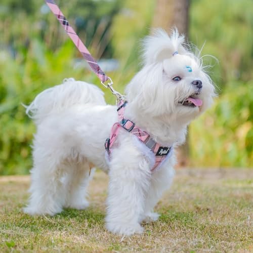 PUPTECK Dog Harness and Leash Set Small Sized, Step in No Pull Adjustable Puppy - Image 5