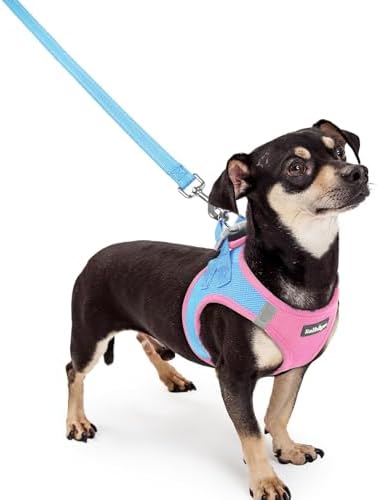 rabbitgoo Dog Harness Small Sized and Leash Set, Step-in Puppy Pet Vest by rabbitgoo