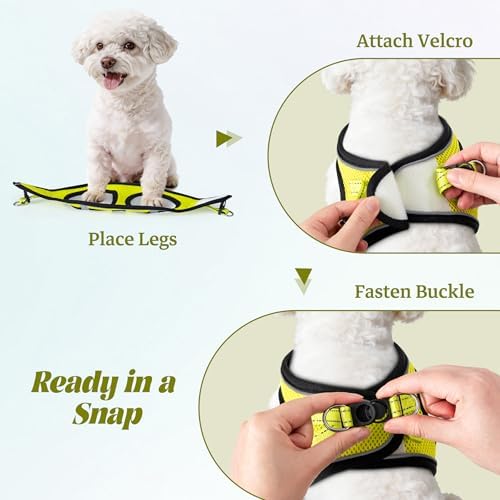 No Pull Dog Puppy Harness and Leash Set Reflective Mesh Vest Large - Image 4