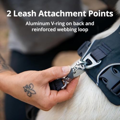 Ruffwear, Front Range Dog Chest Harness, River Rock Green - Image 6