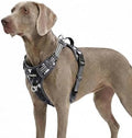 Funfox Dog Harness No Pull, Adjustable Pet Vest Harness, Super Soft Material by MyFUNFOX