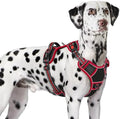 Eagloo Dog Harness No Pull for Large Dogs, Easy On & Off by GoExplorewithEagloo