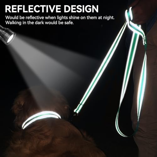 Joytale Reflective Dog Leash for Small Dogs, 4 FT x 3/4" - Image 4