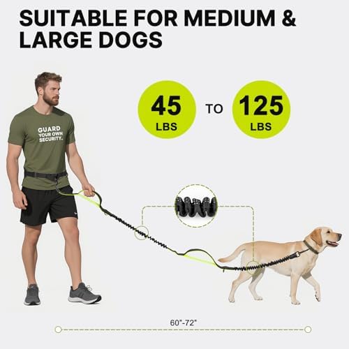 Hands Free Dog Leash for Medium Large Dogs, Waist Support Padded Bungee Dog - Image 4