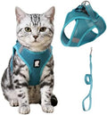 HEYWEAN Cat Harness and Leash by HeyweanPleaseFollowMeForMoreNews
