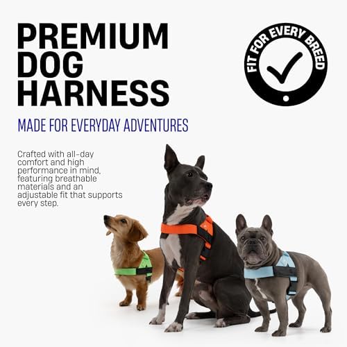 Dog Friendly Co. Dog Harness for Large Dogs, Adjustable - Image 3