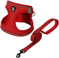 BELLA & PAL Step in Puppy Harness and Leash Set by BELLAPAL