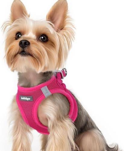 rabbitgoo Step-in Small Dog Harness, Puppy Vest by rabbitgoo