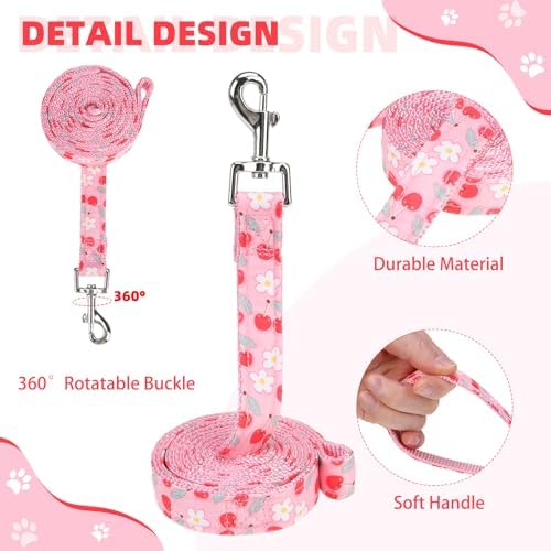 KOOLTAIL Dog Harness for Small Medium Dogs, Dog Harness and Leash Set, Step in - Image 5