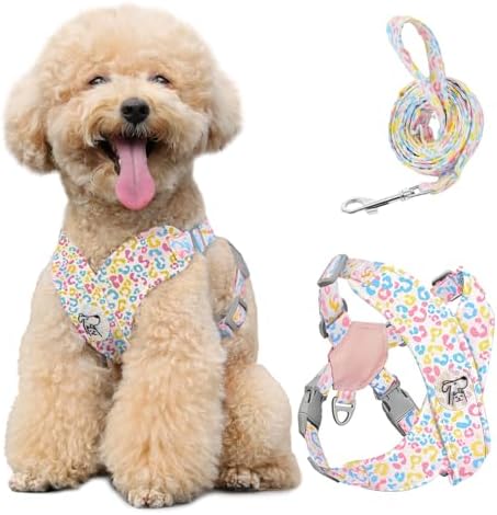 Pawaboo Small Dog Harness and Leash Set, Puppy Harness X-Frame Adjustable by Pawaboo