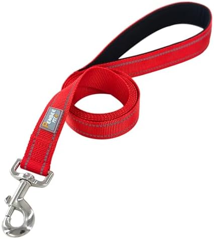 6 FT Basic Dog Leash for Large Dogs - Image 2