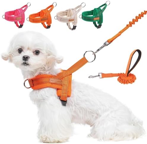 BEAUTYZOO Small Dog Harness and Leash Set, No Pull Step in Puppy Vest by BEAUTYZOO