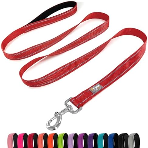 6 FT Basic Dog Leash for Large Dogs by Penseepet