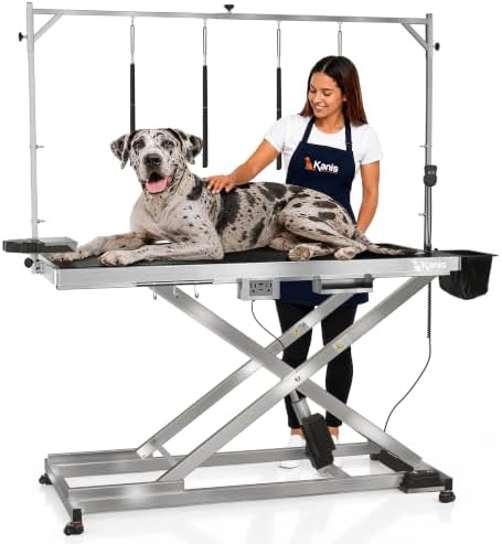 KANIS 60" Professional Electric Dog Grooming Table, 304 Steel, Heavy Duty by KANIS