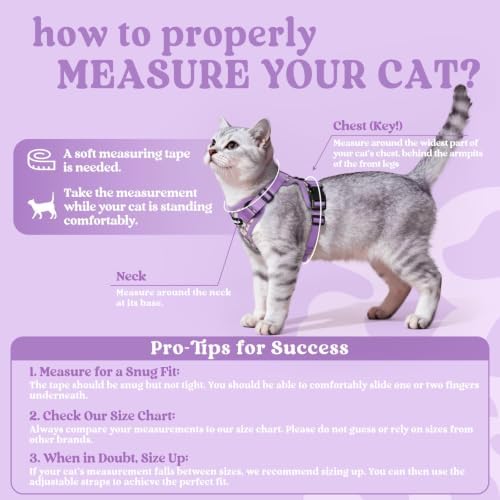 rabbitgoo Cat Harness and Leash Set, Escape Proof Vest, Purr-ple Daisy - Image 2