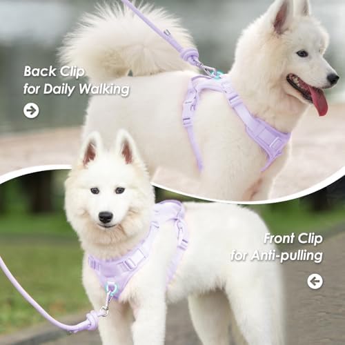 Sunraymascota No Pull Dog Harness - Image 3
