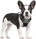 rabbitgoo Dog Harness, No Pull for Large Dogs by rabbitgoo