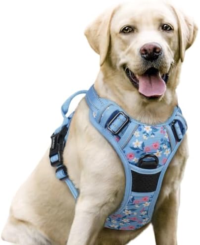 rabbitgoo Dog Harness, No Pull for Large Dogs by rabbitgoo