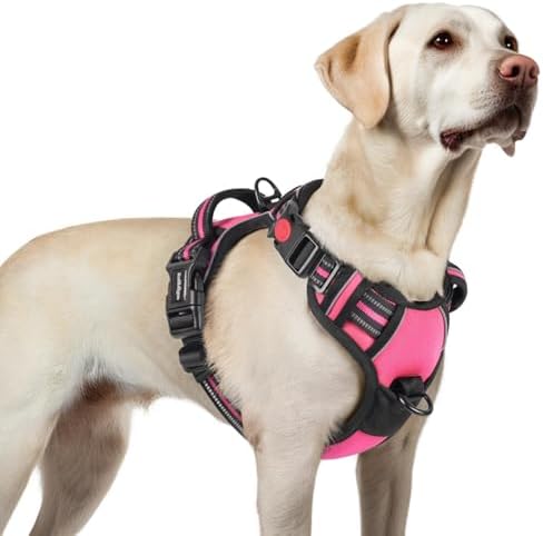 rabbitgoo Dog Harness for Large, Updated Easy On & Off by rabbitgoo