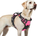 rabbitgoo Dog Harness for Large, Updated Easy On & Off by rabbitgoo