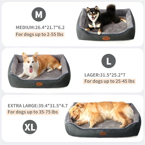 Tidore Orthopedic Dog Bed Medium Size Dog, Durable Egg Crate Foam Sofa Dog Bed - Image 3